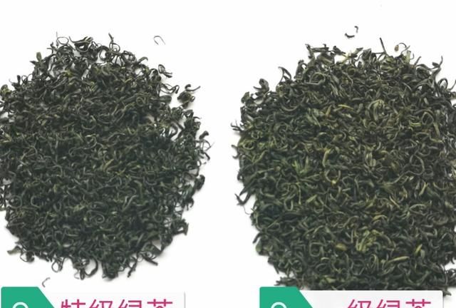 怎样选购好茶叶(如何选购生茶茶叶)图1