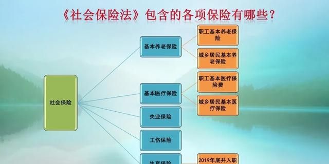 社保生育津贴怎么领取,郑州社保生育津贴领取条件图1