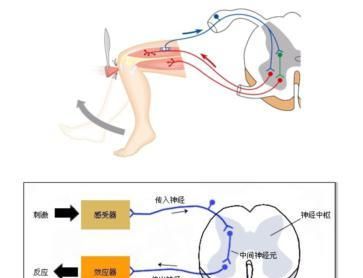 人的意念是什么东西图1