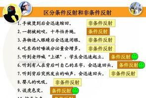 人的意念是什么东西图2