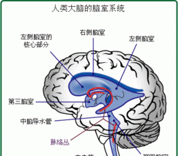 人的意念是什么东西图3