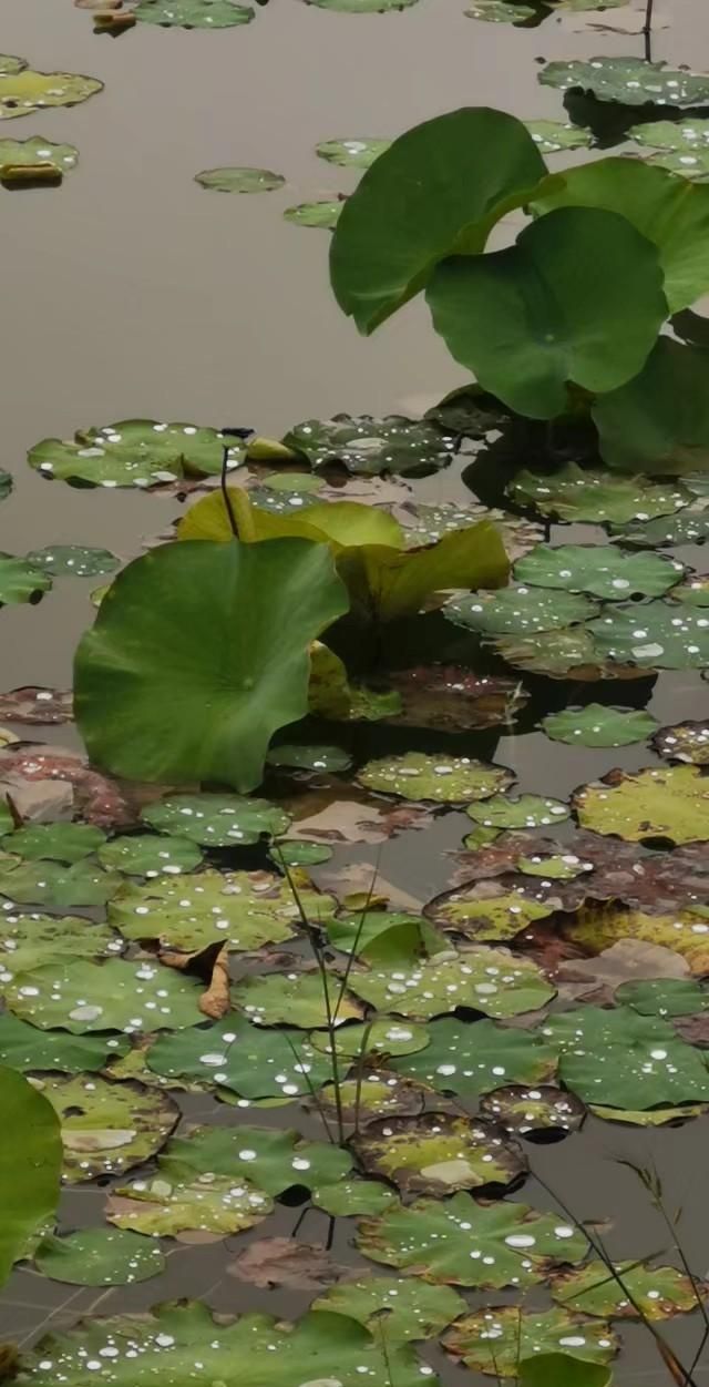 晚上下雨天怎么拍照好看(为什么室内拍照比阳光下好看)图1