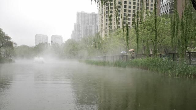 晚上下雨天怎么拍照好看(为什么室内拍照比阳光下好看)图3