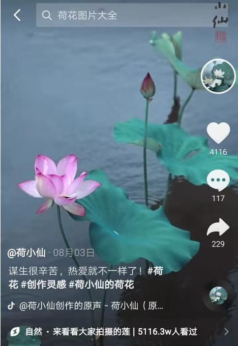 有多少人卸载了抖音,为什么还能看到图2