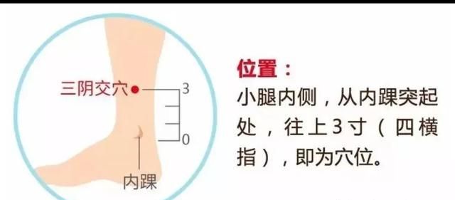 三阴交穴对男性的作用图1