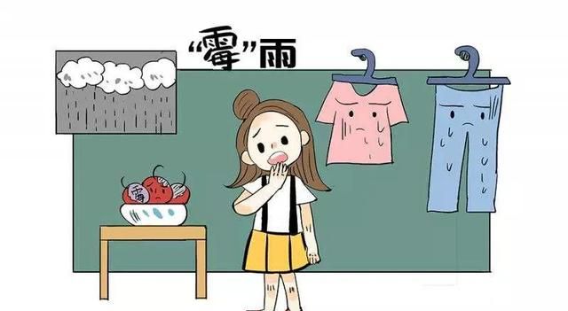 南方梅雨季节衣服潮湿,有啥好妙招吗图7