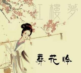 《葬花吟》是不是红楼梦诗词作品的巅峰之作图4