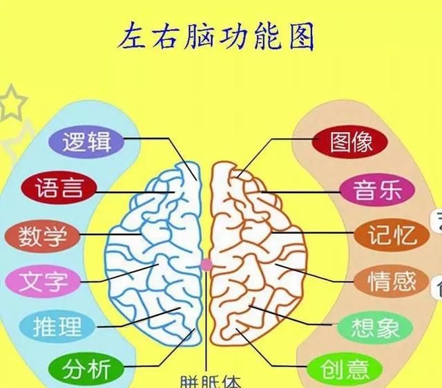 怎样才可以开发大脑图1