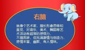 怎样才可以开发大脑图3