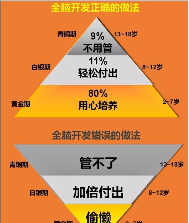 怎样才可以开发大脑图4