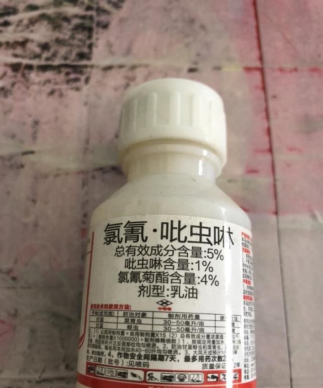 花盆中的黑色小飞虫怎么消灭,花盆有黑色飞虫怎么办图6