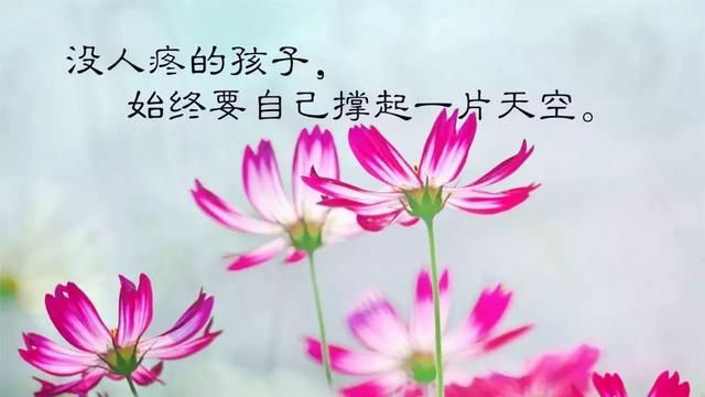 每日乏善可陈的日子怎么找乐趣(如何度过闲余时间最有意义)图5