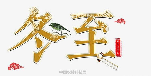 怎样调出好吃的饺子馅,怎样把饺子馅调出汤汁图2