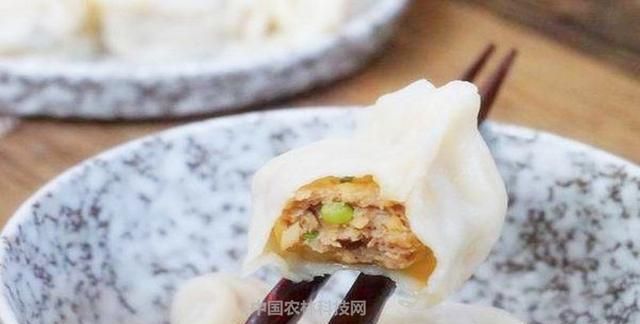 怎样调出好吃的饺子馅,怎样把饺子馅调出汤汁图10