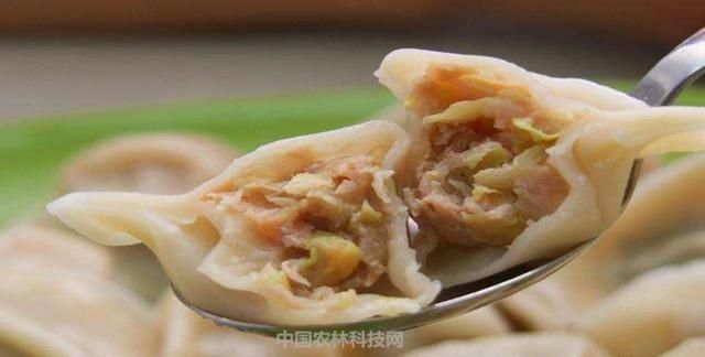 怎样调出好吃的饺子馅,怎样把饺子馅调出汤汁图13