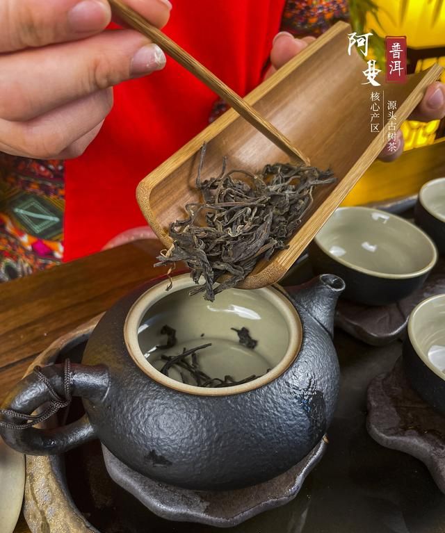 普洱茶老茶的冲泡方法图3