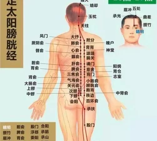 为什么剑插进人身体里没事(为什么剑插在人身体里没死)图6