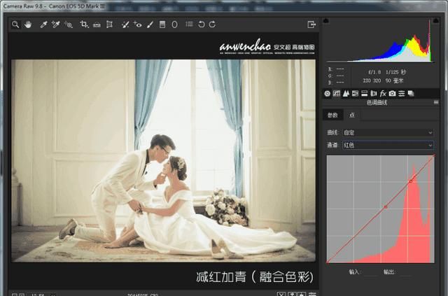婚纱摄影后期制作怎么简单调色呢图9