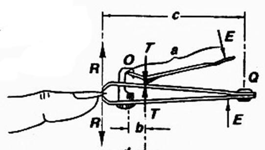 指甲钳是什么时候出现的图3
