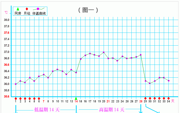 受孕后体温会下降吗?还会有什么样的反应呢图5
