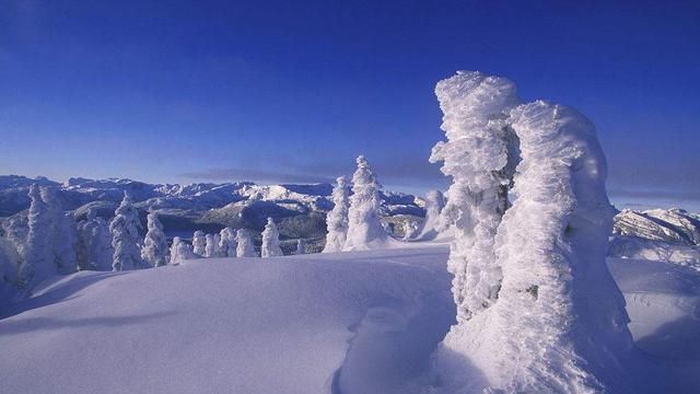 冬天哪里雪景最美(哪里雪景最美)图11