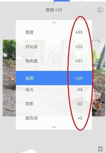 如何用snapseed调整图片格式图6