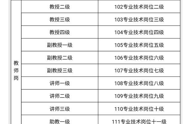 大学副教授是什么级别图2