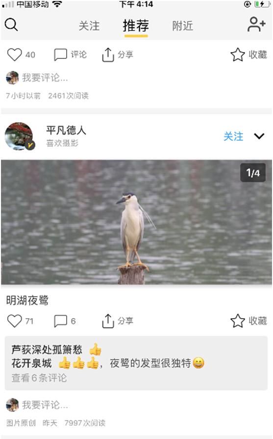 如何设计自己的签名图16