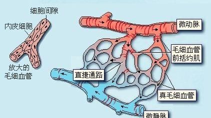 什么是磁疗(什么是磁疗减肥)图1