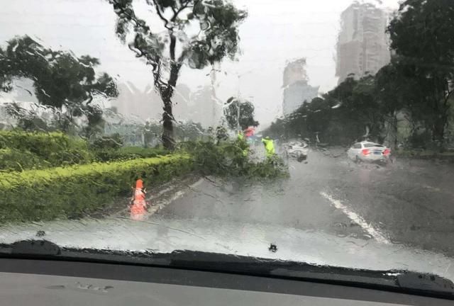 珠海发生龙吸水正常吗,珠海龙吸水是真的还是假的图3