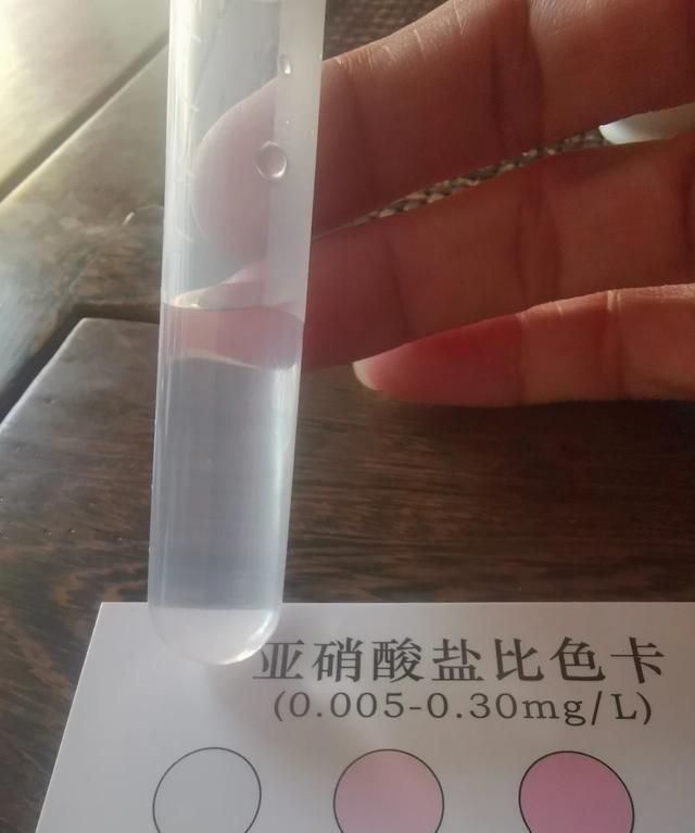 鱼缸摆放位置有哪些讲究图6