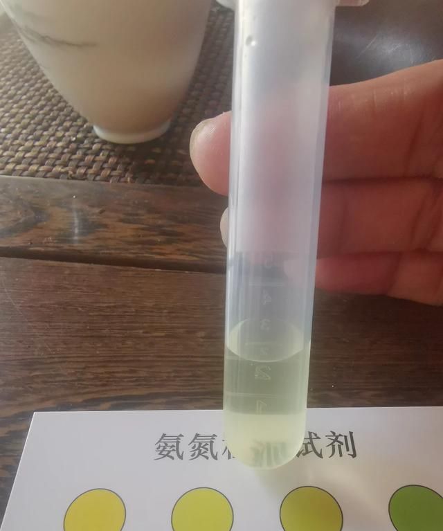 鱼缸摆放位置有哪些讲究图7