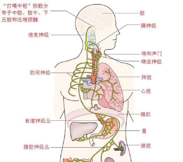 打嗝有什么好办法解决(打嗝有什么好办法解决吗)图4