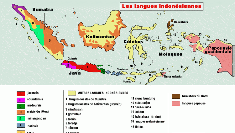 荷兰统治印尼300年为何不说荷兰语了图1