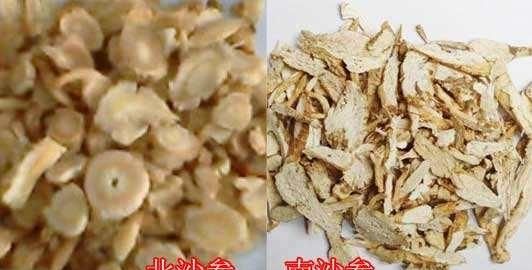 沙参有什么药用功效(麦冬沙参功效与作用)图3