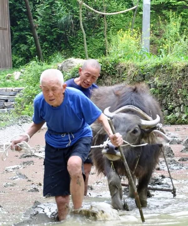 在农村存款30万是什么水平图11