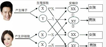 生男生女有什么办法控制吗(生男生女有什么方案吗)图2