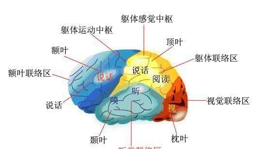 有哪些书看了能很好地提升自己的口才能力图1