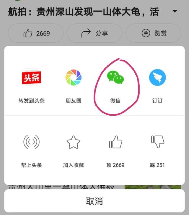 如何头条,如何头条ios图8