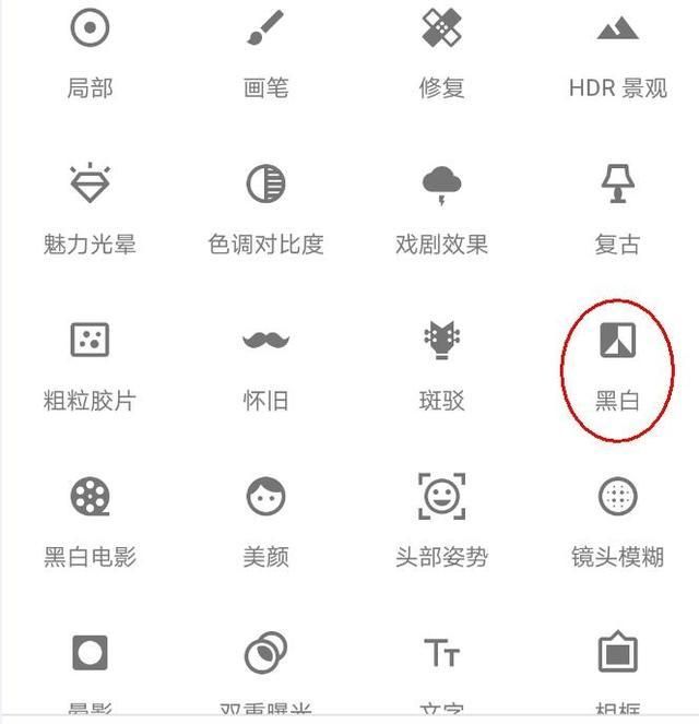 snapseed照片局部彩色图3