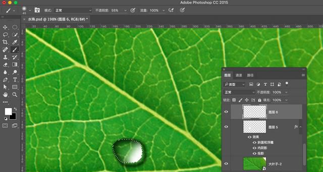ps怎么做叶子上的水滴(ps怎么制作树叶形状的水滴)图11