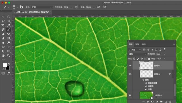 ps怎么做叶子上的水滴(ps怎么制作树叶形状的水滴)图12