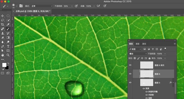 ps怎么做叶子上的水滴(ps怎么制作树叶形状的水滴)图13