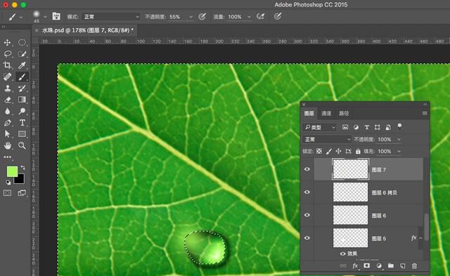 ps怎么做叶子上的水滴(ps怎么制作树叶形状的水滴)图15