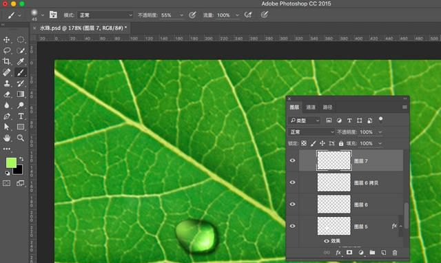 ps怎么做叶子上的水滴(ps怎么制作树叶形状的水滴)图16