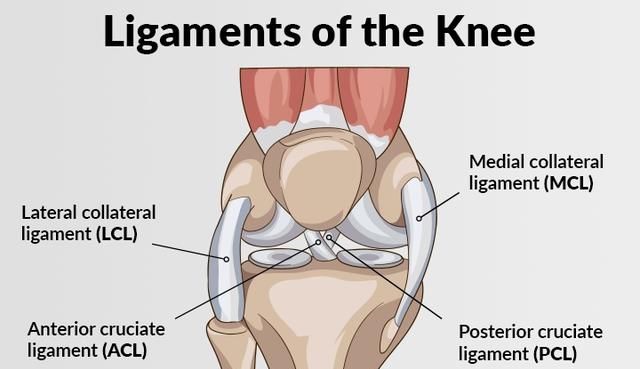 膝关节损伤如何康复,膝关节损伤主要康复方法图1