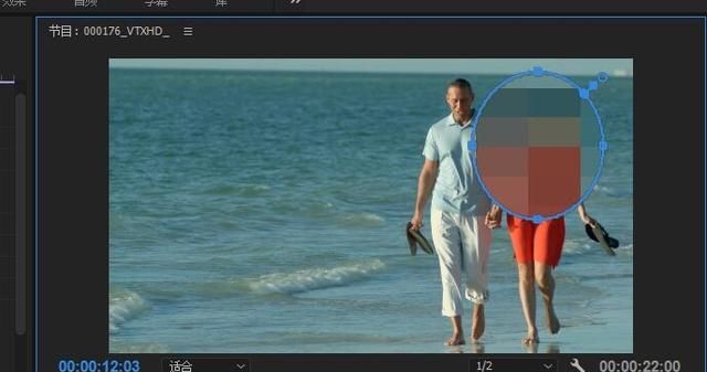 premiere如何制作马赛克跟踪图5
