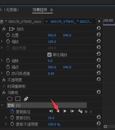 premiere如何制作马赛克跟踪图10