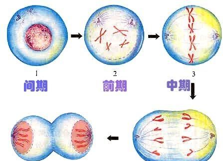 地球人和外星生物作战的游戏图6