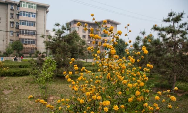 单反镜头焦距光圈与景深的关系,单反镜头焦距光圈代表什么图10